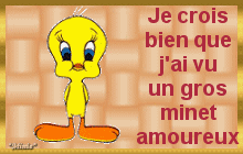 mon twiti